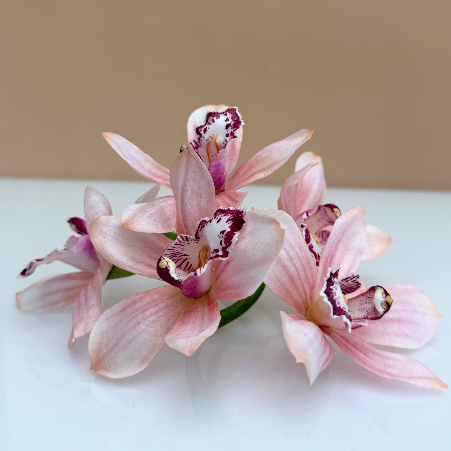 Waferpaper Kurs mit Nadia Flecha Guazo „Orchidee & Blattgrün“