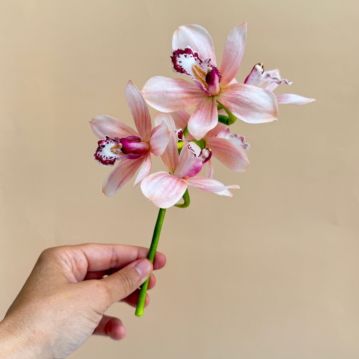 Waferpaper Kurs mit Nadia Flecha Guazo „Orchidee & Blattgrün“
