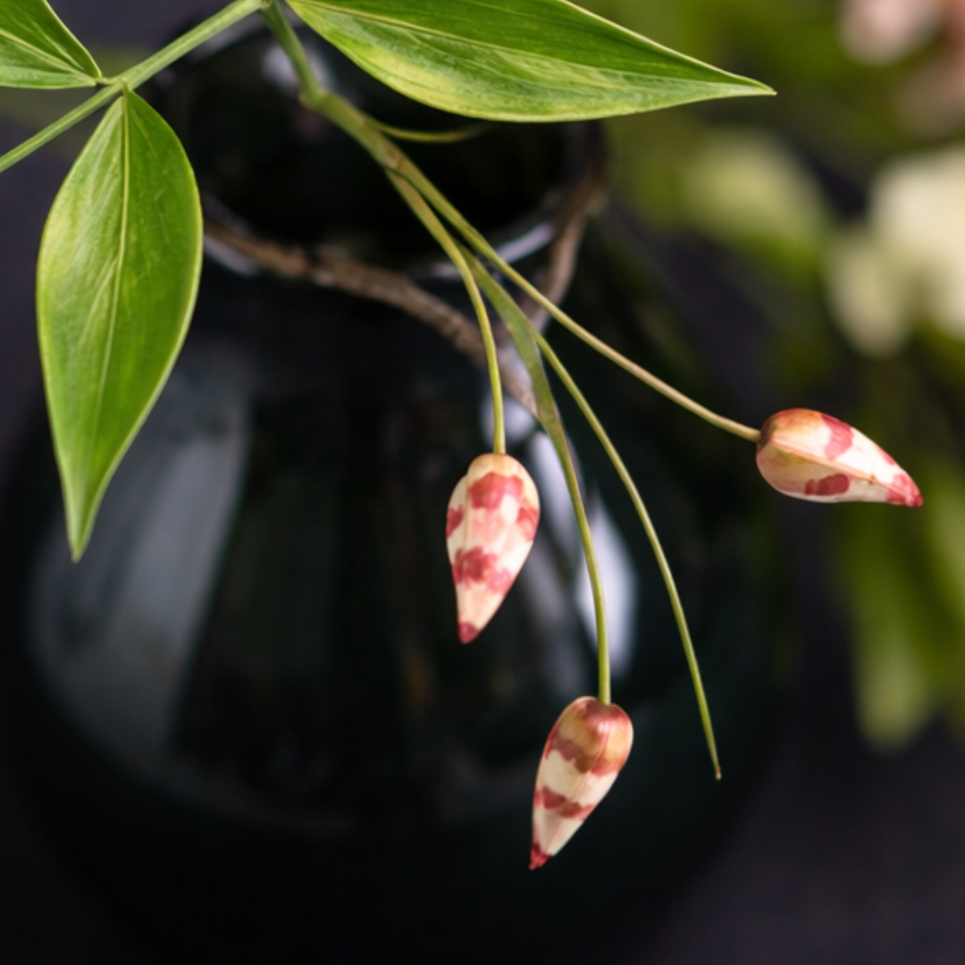 Blumenkurs mit Dagmar Pinter „Orchidee“
