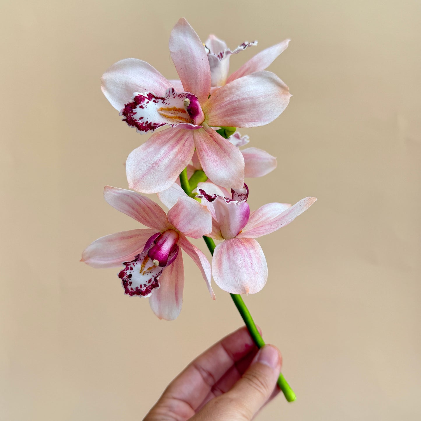 Kombikurs Kolibri & Orchidee aus Wafer Paper mit Nadia Flecha Guazo